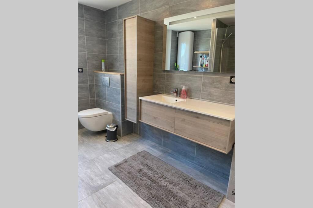 Appartement De Adrien Garage Prive Шарлевіль-Мезьєр Екстер'єр фото